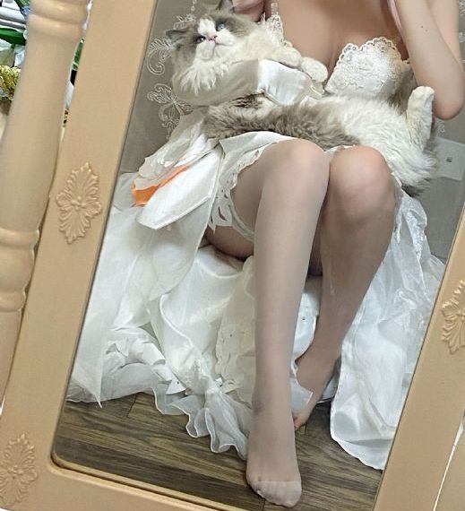 史前大章鱼