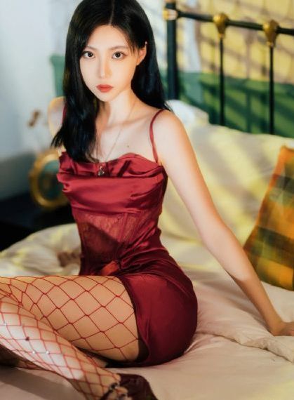 海盗2斯塔涅复仇2
